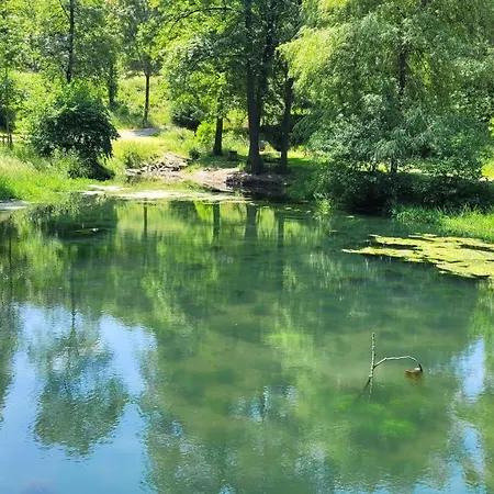 Mit Grosser Terrasse Appartement Boppard