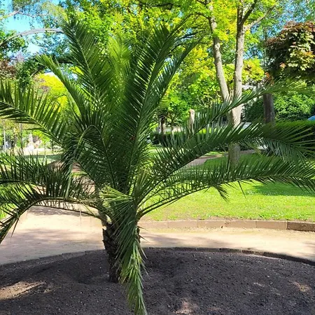 Mit Grosser Terrasse Apartment *