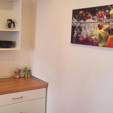 Apartment Mit Grosser Terrasse
