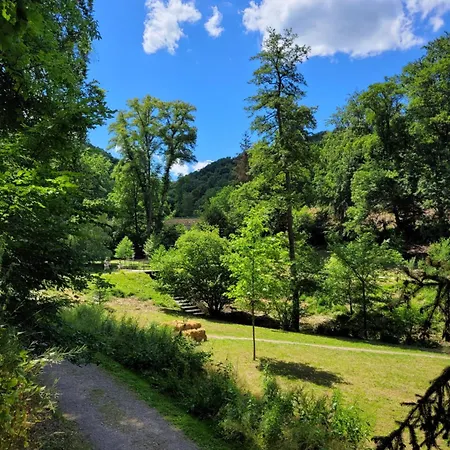 Mit Grosser Terrasse Appartement