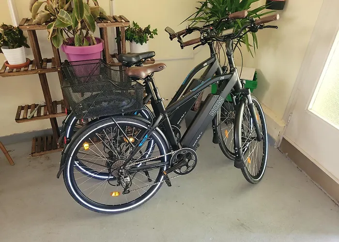 Apartment Mit Grosser Terrasse *