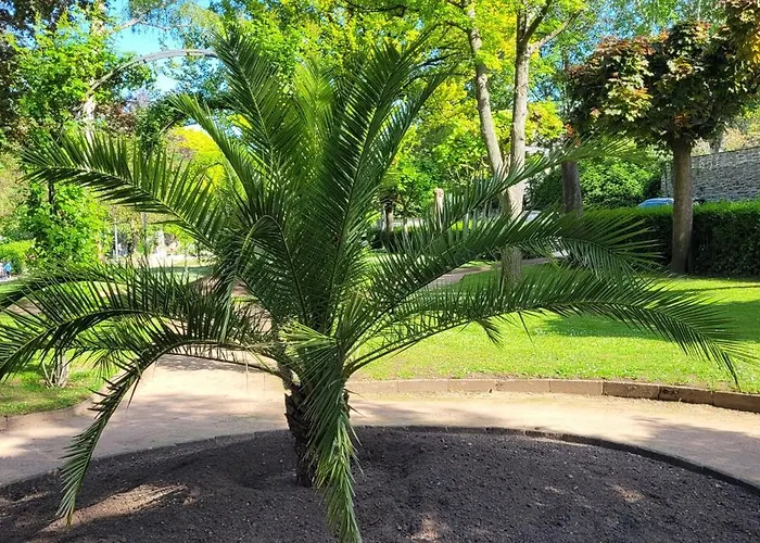 Mit Grosser Terrasse Apartment *